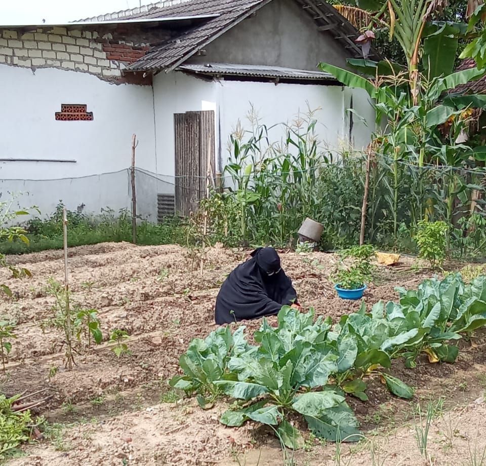 Program SDF HSI BERBAGI: Alirkan Gelombang Kebaikan Tak Henti