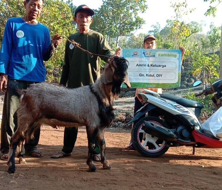 Cepat dan Mudah, Ini Langkah Praktis Berqurban di HSI BERBAGI!