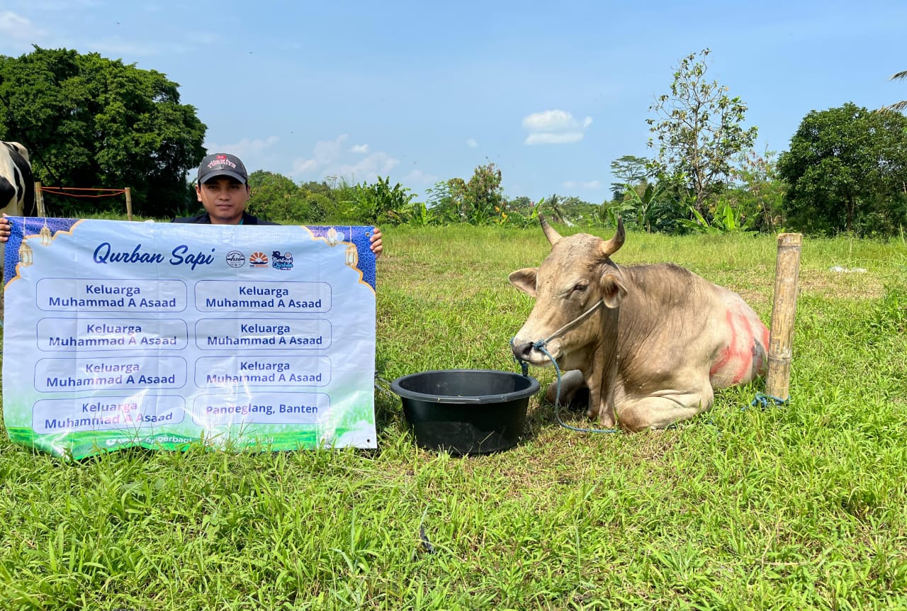 Berbagi Qurban 1446 Hijriyah: 332 SQ, 10.000 Kotak Daging Disalurkan