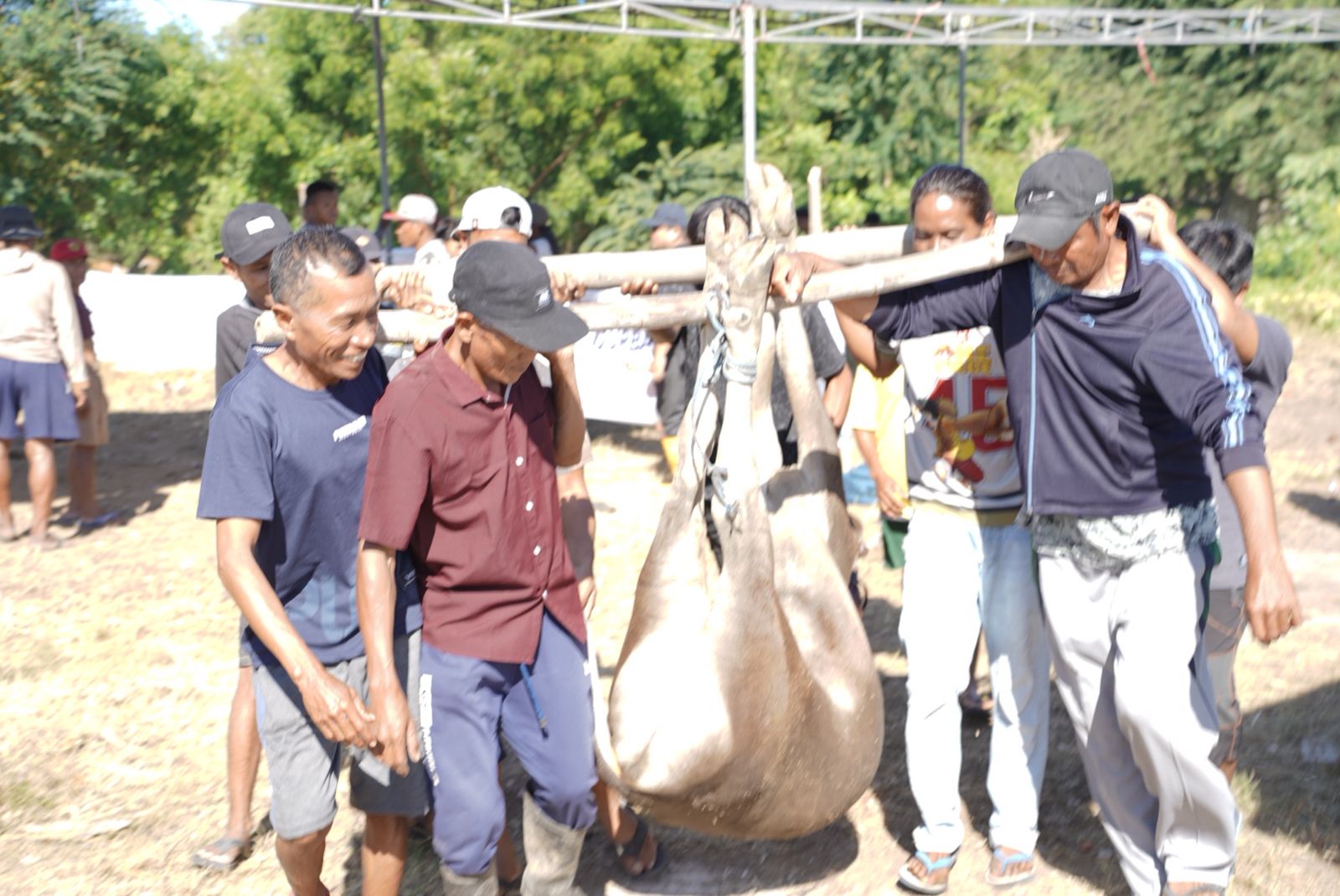 Qurban Fest 1447 H: Tebar Syiar Qurban Hingga Pelosok Sumbawa