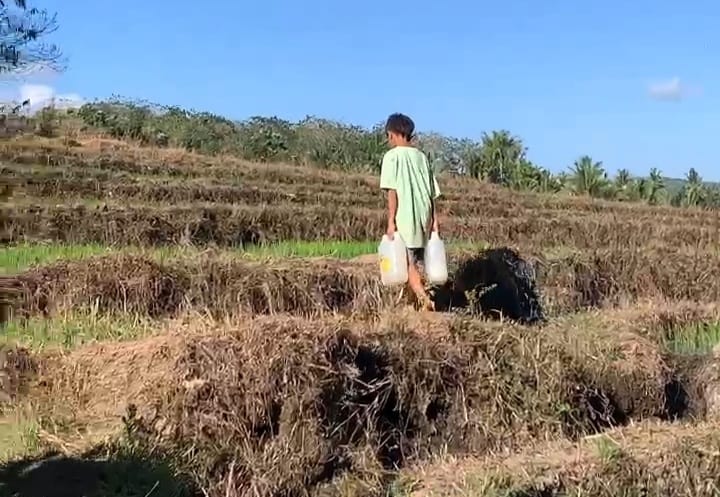 Gempa NTT: Sumur Menghitam Tryani dan Warga Rawuk Krisis Air Bersih serta Logistik
